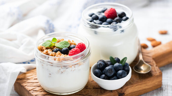 Dairy Free Yogurt