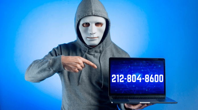 212-804-8600